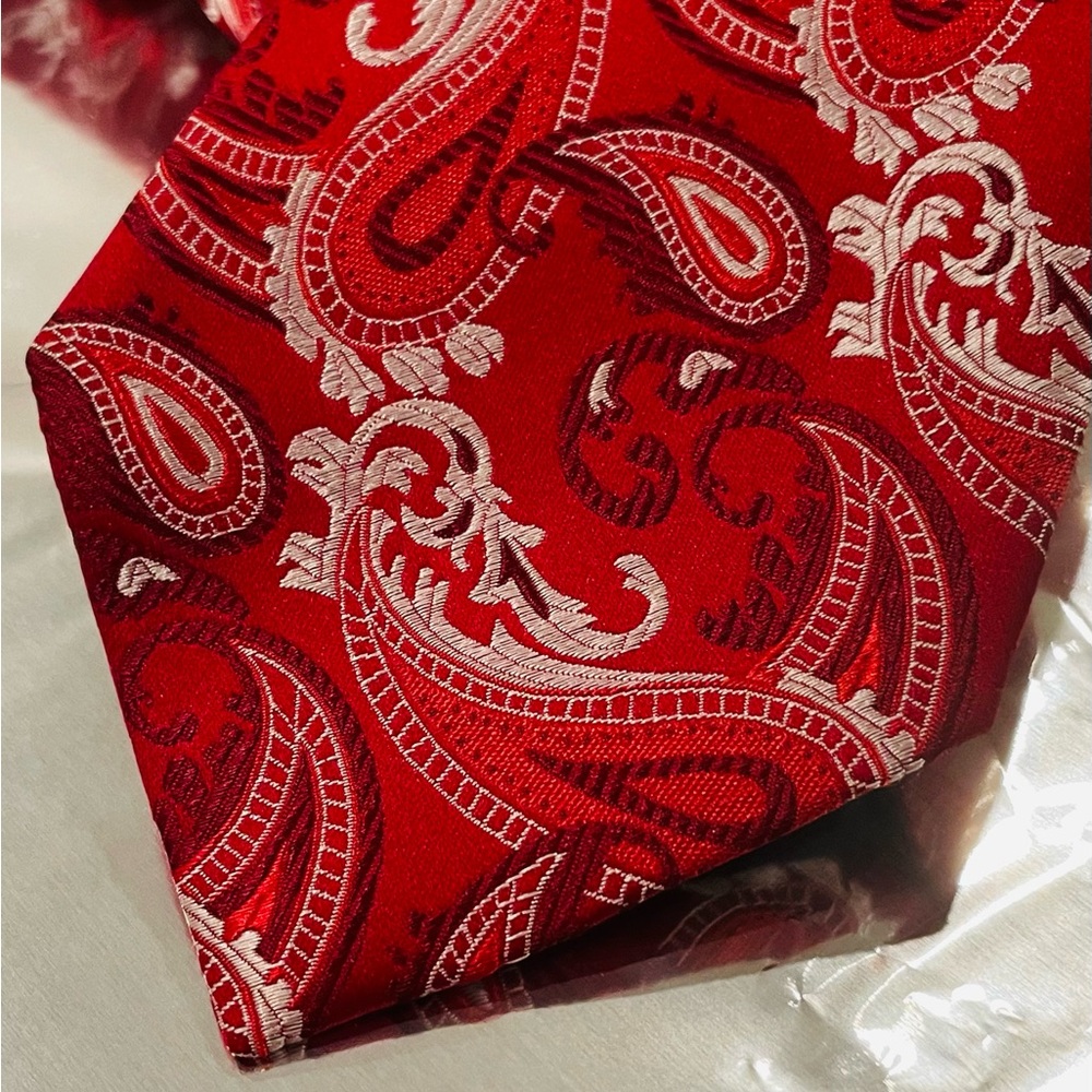 The Tie Bar ~ New Silk Handmade paisley Modern